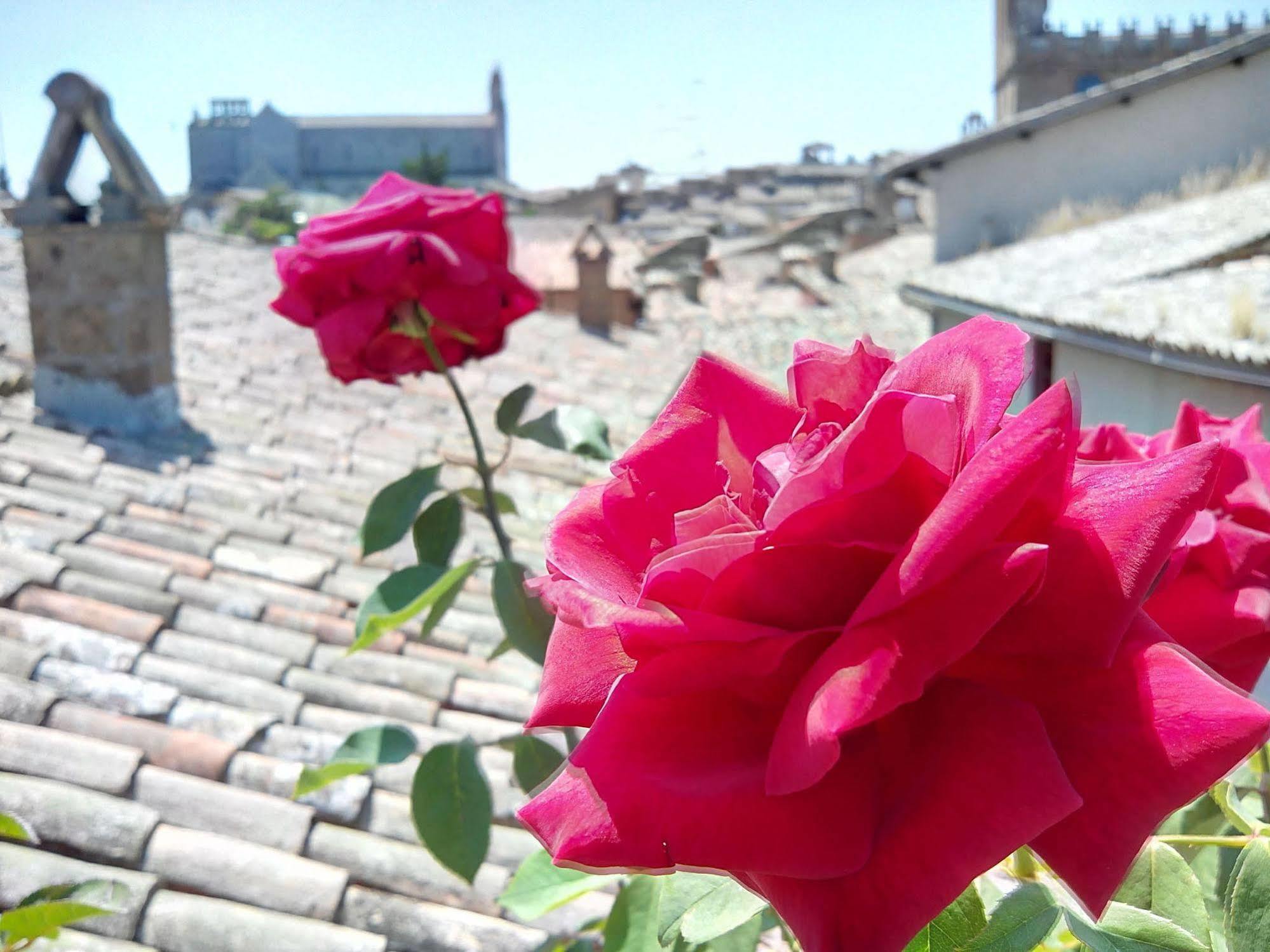 Orvieto In Terrazza Hotel Exterior photo